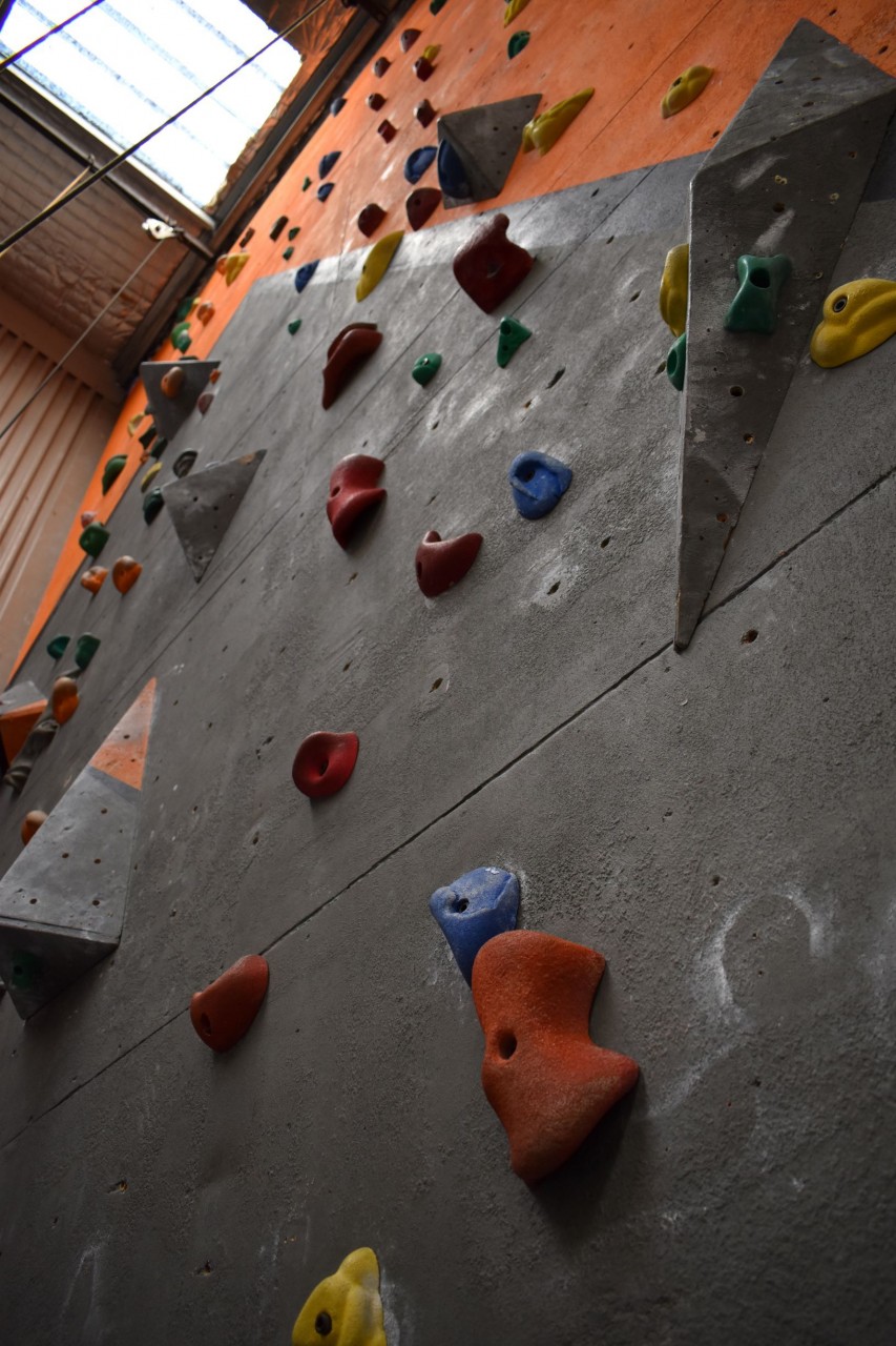 A close-up of one of our climbing walls showing holds of many different colours.