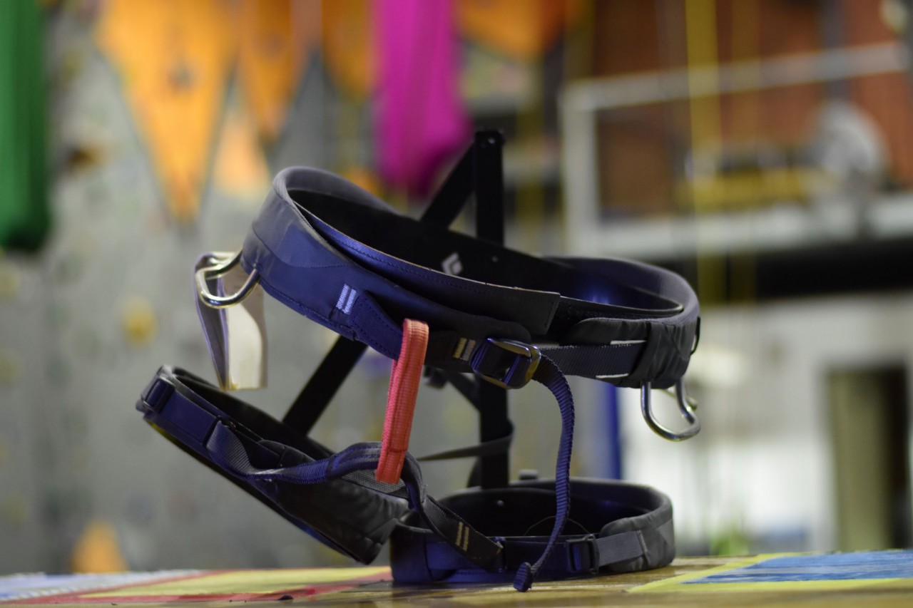 A Black Diamond All-Around Series men's harness on a display frame. The harness is grey and black with a red belay loop.