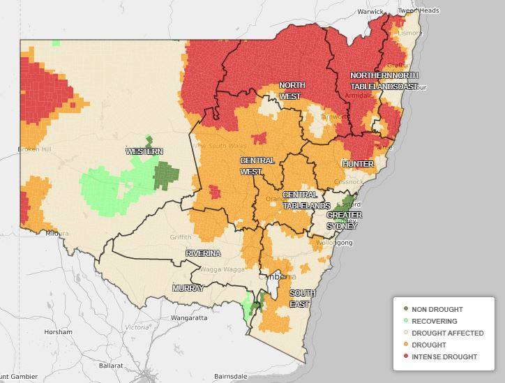 A map showing the drought stricken areas of NSW and the severity of the drought. Only a few small pockets of green indicating "non drought" and "recovering" exist.